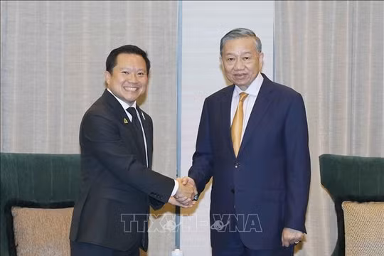 Tổng Bí thư, Chủ tịch nước Tô Lâm tiếp Chủ tịch điều hành Tập đoàn TCC (Thái Lan)