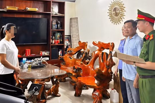 Nữ chủ cửa hàng thiết bị vệ sinh ở Ninh Bình bị khởi tố vì trốn thuế hơn 1 tỷ đồng