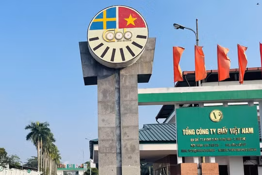 Dấu hiệu buông lỏng quản lý đất rừng tại các doanh nghiệp thuộc Tổng công ty Giấy Việt Nam?