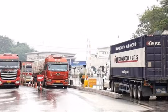 Lạng Sơn triển khai công nghệ số, hướng tới mô hình hải quan thông minh