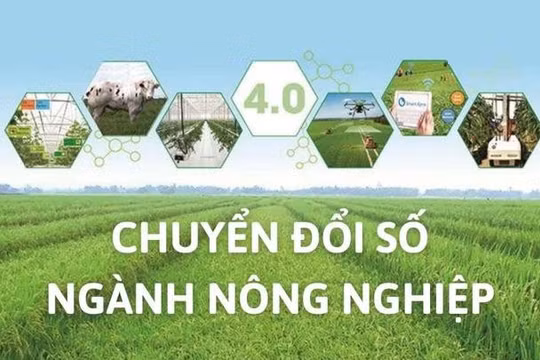Khoa học công nghệ và chuyển đổi số tạo động lực phát triển nông nghiệp bền vững