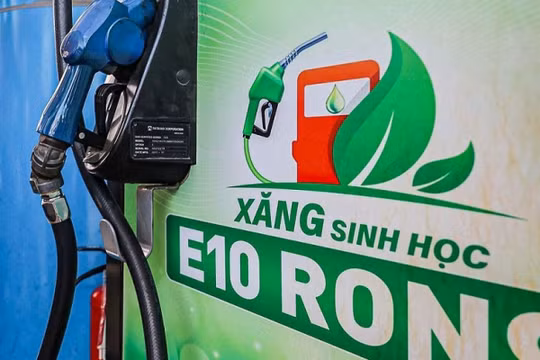 Bộ Khoa học và Công nghệ tăng cường kiểm soát chất lượng xăng E10 từ hành lang kỹ thuật đến giám sát thị trường