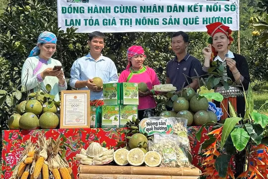 Đưa ‘trường quay’ ra vườn: Nông dân Lào Cai livestream chốt hàng nghìn đơn nông sản