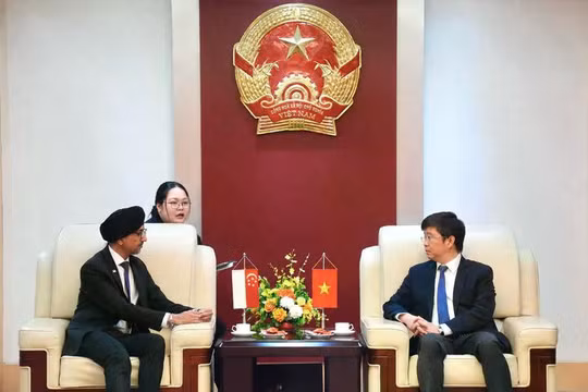 Việt Nam - Singapore thúc đẩy đào tạo cán bộ, hợp tác về Chính phủ số và kết nối doanh nghiệp công nghệ số