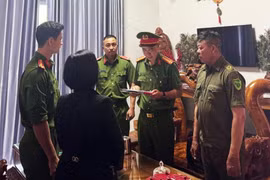 Doanh thu 143 tỷ, nộp thuế 900.000 đồng: Một chủ hộ kinh doanh bị khởi tố