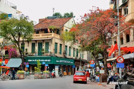 Tháng 3 về, Hà Nội khoác áo mới giữa mùa thay lá