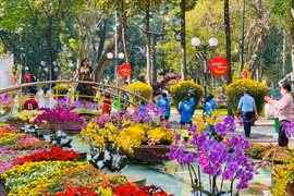 Hội hoa Tao Đàn xuân Bính Ngọ lần thứ 46 diễn ra trong 12 ngày tại TP.HCM