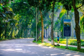 Đầu tư đô thị xanh: Nhà nước bảo lãnh tín dụng, miễn giảm thuế, ưu tiên quỹ đất