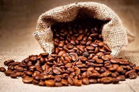 Giá cà phê hôm nay 2/1: Đắk Lắk đạt đỉnh 98.300 đồng/kg, Robusta thế giới tăng nhẹ
