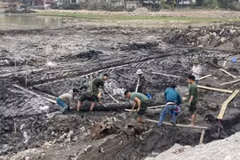 Phát hiện bãi cọc gỗ nghi từ thời Trần tại di tích Côn Sơn - Kiếp Bạc