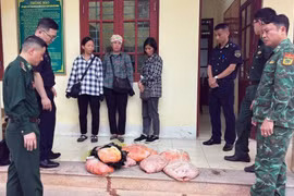 Phát hiện lô nội tạng động vật chảy nước, bốc mùi chuẩn bị tuồn vào Việt Nam