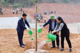 Bắc Ninh: Trồng gần 37 nghìn cây xanh dịp Tết trồng cây Xuân Bính Ngọ 2026