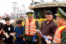Ninh Bình: Quyết liệt khắc phục tồn tại trong chống khai thác IUU, hướng tới gỡ “Thẻ vàng” của EC
