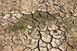 Hiện tượng thời tiết El Nino có thể sẽ quay lại vào tháng 5/2026