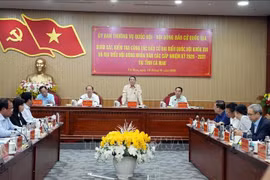Tăng cường giám sát, đảm bảo tiêu chuẩn ứng cử viên đại biểu Quốc hội và HĐND