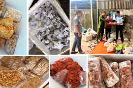 Thanh Hóa: Đấu tranh với thực phẩm bẩn
