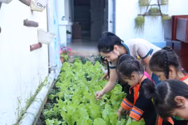 Giáo viên mầm non dạy tối đa 5,5 giờ mỗi ngày, hiệu trưởng 2 giờ mỗi tuần