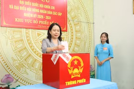 Phó Chủ tịch nước Võ Thị Ánh Xuân bỏ phiếu bầu cử tại phường Long Xuyên, An Giang