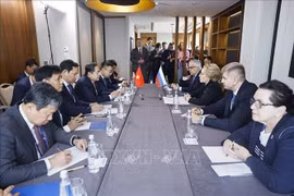 Chủ tịch Quốc hội Trần Thanh Mẫn hội kiến Chủ tịch Hội đồng Liên bang Nga