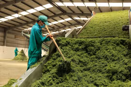 Vinamilk khẳng định vai trò tiên phong chuyển đổi xanh