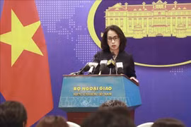 Việt Nam đã hỗ trợ công dân bị mắc kẹt tại Trung Đông