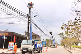 Điện lực Quảng Trị: Vững vàng sau sáp nhập, lan tỏa giá trị nhân văn