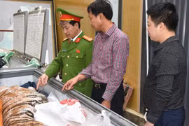 Khởi tố 2 đối tượng mua bán hổ nấu cao, giao dịch gần 2 tỉ đồng