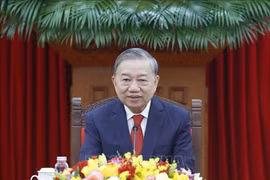 Tổng Bí thư Tô Lâm điện đàm với Tổng Bí thư, Chủ tịch nước Cộng hòa Nhân dân Trung Hoa Tập Cận Bình