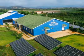 Vinamilk hướng tới net zero bằng năng lượng sạch và chuyển đổi số