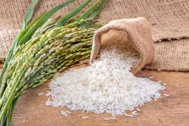 Giá lúa gạo hôm nay 1/1/2026: Thị trường đi ngang trong ngày đầu năm mới