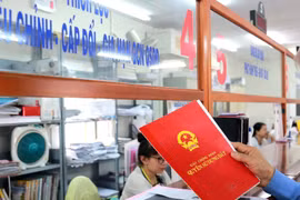 Chủ tịch UBND cấp xã được cấp Giấy chứng nhận quyền sử dụng đất