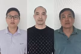 3 giám đốc doanh nghiệp ở Tuyên Quang bị khởi tố tội trốn thuế