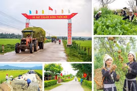 Sử dụng ngân sách cho các chương trình mục tiêu quốc gia phải đúng trọng tâm, đúng đối tượng