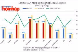 Dự báo năm 2025: Nhiều ngân hàng Việt Nam gia nhập câu lạc bộ lợi nhuận tỷ USD