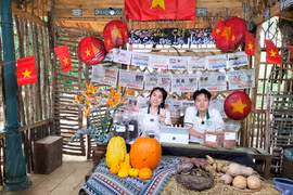 Quảng Ngãi: Khi nông sản địa phương “lên sóng” cùng du lịch trải nghiệm