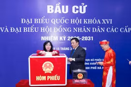 Bà Bùi Thị Minh Hoài cùng nhiều lãnh đạo MTTQ trúng cử đại biểu Quốc hội