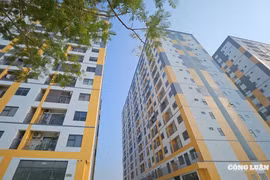 Trước 15/5, hoàn tất hướng dẫn chính sách nhà ở xã hội cho người sinh đủ hai con trở lên