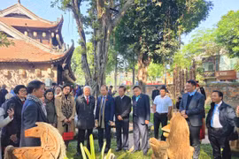 Khai mạc trưng bày 'Ngựa về phố' tại Văn Miếu - Quốc Tử Giám