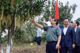 Thủ tướng: Liên kết doanh nghiệp – nông dân, biến núi rừng Tây Bắc trùng điệp thành của cải vật chất