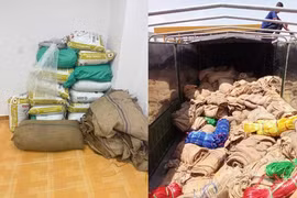 Thủ đoạn tinh vi của đường dây chiếm đoạt 22 tỉ đồng từ 500 tấn hạt điều