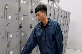 Tổ trưởng sản xuất trộm hơn 20.000 linh kiện điện tử của công ty ở Phú Thọ