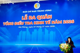Tổng điều tra kinh tế 2026: Lần đầu số hóa mạnh, quét toàn cảnh nền kinh tế