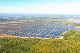 Xuân Thiện Đắk Lắk bị phạt vì vi phạm công bố thông tin trái phiếu, lợi nhuận đi lùi, nợ phải trả vẫn còn hơn 3.000 tỷ đồng