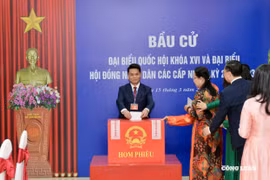 Cử tri Hải Phòng nô nức đi bầu cử