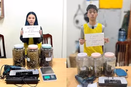 Hà Nội: Hai đối tượng trẻ sa lưới với gần 3,6kg cần sa