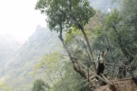 Từ vụ nam sinh mất tích khi leo núi: Kỹ năng ‘bỏ túi’ khi bị lạc trong rừng