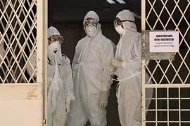 Bộ Y tế ban hành hướng dẫn chẩn đoán, điều trị bệnh do virus Nipah