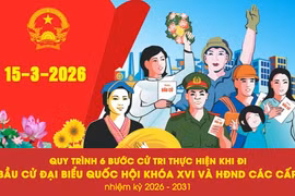Quy trình 6 bước cử tri thực hiện khi đi bầu cử Đại biểu Quốc hội khóa XVI và HĐND các cấp nhiệm kỳ 2026 - 2031