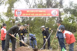 Quảng Ninh: Rộn ràng trong ngày hội trồng cây đầu xuân mới