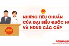 Những tiêu chuẩn đối với đại biểu Quốc hội, đại biểu Hội đồng nhân dân